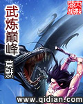 武炼巅峰封面